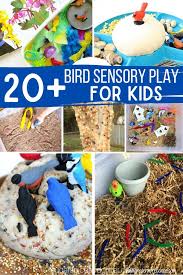 We did not find results for: 50 Ideas For A Preschool Bird Unit Study Sugar Spice And Glitter