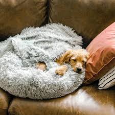 Check spelling or type a new query. Faux Fur Soothing Dog Bed Absolut Pet