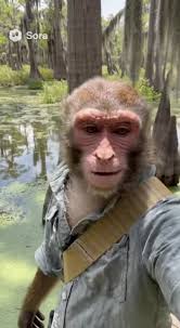 Look ya boy done caught the fois David Rabalais Filmmaker  #throwdatinthelonggrass #thefois #fyp #funnyvideos