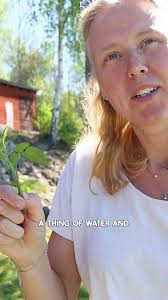 Everyone kills their first tomato plants, right? Right...? #shorts  #gardening #cottagecore
