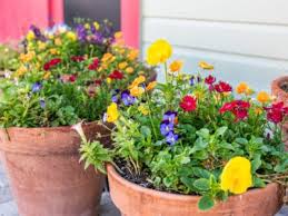 Container theme gardens offers 42 plans for container arrangements, each using just five specific plants that you can find at your local garden center. Tips Information About Container Gardens Gardening Know How
