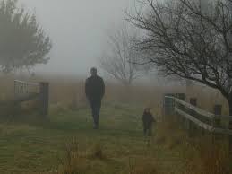 Light winds becoming easterly 15 to 25 km/h during the morning then becoming light during the evening. A Lovely Winter Morning Stroll Picture Of Poppy S Cottage Armidale Tripadvisor