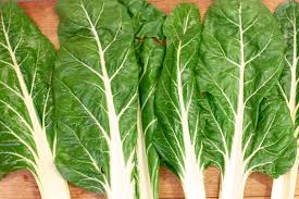 Comment Preparer Et Cuire Les Bettes Recette Feuilles De Blettes Recette De Blettes Recette Cote De Bette
