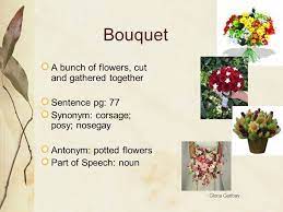 Check spelling or type a new query. The Keeping Quilt Written By Patricia Polacco Ocr 2000 Unit 4 Lesson 6 Gloria Garibay Ppt Download