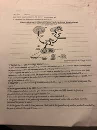 Have students complete the activity worksheet; Solved Name Io 211 Due Date Wednesday 6 20 2019 Worksh Chegg Com