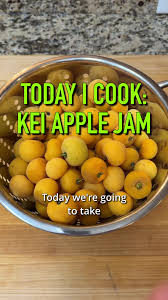 Image result for Dovyalis afra