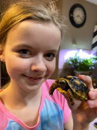 Redfooted tortoise with habitat and accessories for sale