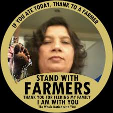 When someone say you have too much dulaar in you what they mean ?