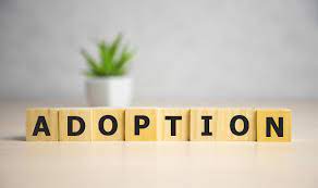 Wer ein kind adoptieren möchte, egal ob im inland oder im ausland, muss nach dem deutschen recht unbeschränkt geschäftsfähig und mindestens 25 jahre alt sein. Adoption In Deutschland Voraussetzungen Des Adoptionsverfahrens Bei Erwachsenen Und Kindern Antrag24 De