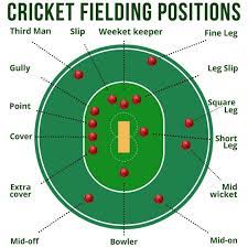 Different Fielding Positions in Cricket Ground - sportsingo