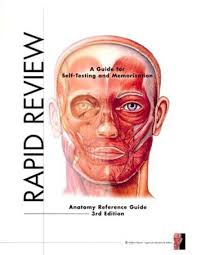 At the level of the pelvic bones, the abdomen. Studystore Rapid Review Anatomy Reference Guide Anatomical Chart Company 9781605471020