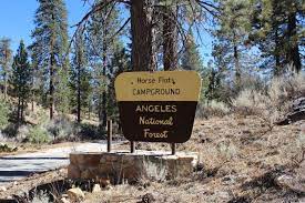 These 11 Amazing Camping Spots In Southern California Are An Absolute Must See Southern California Camping Camping Spots Estes Park Camping