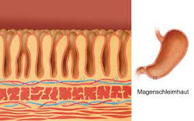 Schmerzen im oberbauch, übelkeit und erbrechen sowie blutungen (nicht sichtbar oder im stuhl). Magenentzundung Symptome Ursachen Und Behandlung Heilpraxis