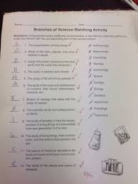 Printables Branches Of Science Worksheet Worksheet Branches Of Science Kerriwaller Printables Matchi Branches Of Science Science Worksheets Third Grade Science