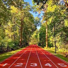 Michael duane johnson (born september 13, 1967) is an american retired sprinter who won four olympic gold medals and eight world championships gold medals in the span of his career. Beynon Sports Michael Johnson Track Nike World Facebook