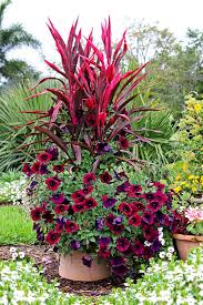 Check spelling or type a new query. 11 Easy Colorful Container Garden Ideas Costa Farms