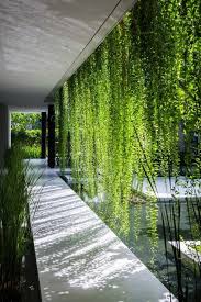 1001 Idees Brise Vue Vegetal Cachez Au Naturel Idee Amenagement Jardin Amenagement Jardin Deco Jardin Zen