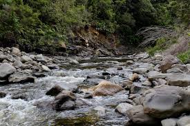 Belal muhammad and paul craig vs. How To Find Drinkable Water In The Wild