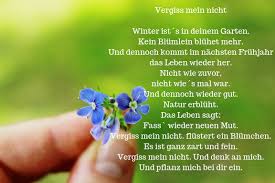 Vergiss Mein Nicht Abschied Nehmen Little Red Temptations Abschied Nehmen Spruche Spruche Abschied Abschied Nehmen