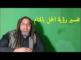 pin on تفسير احلام مجانا