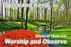 A gorgeous utopia where based on this information, we can safely assume the garden of eden was located somewhere in the because the bible describes the garden as bountiful, its correlation to the fertile crescent makes sense. Dress And Keep Garden Of Eden Surprise Created To Garden
