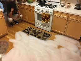 First, check your dishwasher door and door gasket. Why Is My Dishwasher Leaking Best Kitchen Buy