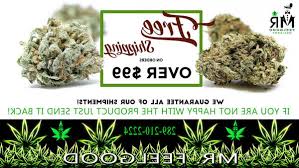 Shipping to nunavut, northern ontario and northern quebec. Buy Legal Weed Downtown Toronto On Naturzcbd Fr