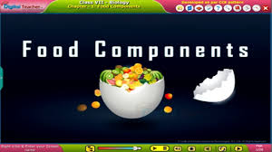 Food Components Class 7 Biology Ssc Digital Teacher Youtube