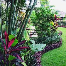 Tropical Front Yard Landscaping Ideas 12 Tropical Backyard Landscaping Tropical Landscape Design Front Yard Landscaping
