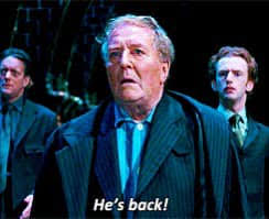 Pink Flamingoz Football Club