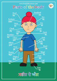 Drill, exercise, practice, practice session. Parts Of The Body In English Punjabi Poster Punjabi