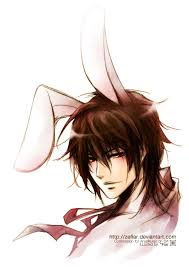 Pin By Toydul On Bunny Anime Vampire Knight Bunny Drawing Bunny Ear