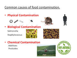 The company claimed there hasn't been any reports of illness, injury or complaints about the impacted product at this time. Common Causes Of Food Contamination Ppt Download