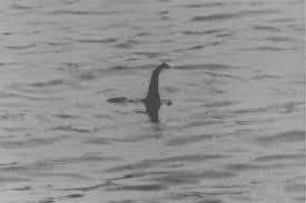 Image result for history's greatest hoaxes nessie