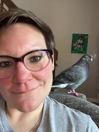 Why does my pigeon vibrate when I approach?