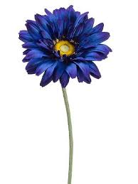 Artificial flowers,silk gerbera heads, daisy flowers heads, sunflower, simulation gerber, dimorphotheca, chrysanthemum, daisies artificial flowers heads, fabric silk floral, supplies wholesale lot, for wedding flowers accessories. 27 Large Royal Gerbera Daisy Spray Deep Blue Pack Of 6 Silk Decor Http Www Amazon Com Dp B00jl8yzsk Ref Cm Sw R Pi Dp Gerbera Daisy Gerbera Flower Gerbera