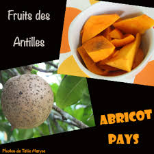 Mes Conseils Pour Une Confiture D Abricot Pays Reussie