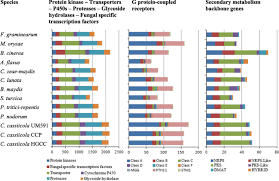 Genome sequence and spore germination-associated transcriptome analysis of  Corynespora cassiicola from cucumber