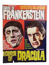 DRACULA: Return of The Impaler #1 (Slave Labor Graphics 1993) Horror (Dan  Vado)