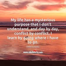 My Life Has A Mysterious Purpose That I Don T Understand And Day Idlehearts
