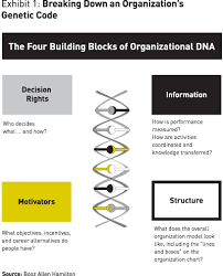 The 7 Types Of Organizational Dna