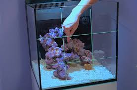 Getting started with aquascaping is not difficult. How To Setup A Mini Reef Aquarium Part 2 Aquascaping Live Rock Leveling Reef Builders The Reef And Saltwater Aquarium Blog