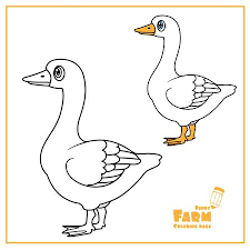 Plant and flower coloring pages. 16 465 Geese Stock Vector Illustration And Royalty Free Geese Clipart