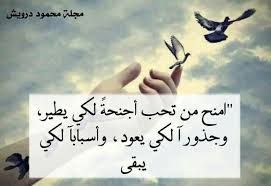 امنح من تحب اجنحه كي يطير roman love arabic calligraphy calligraphy