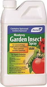 Controlling pests in the home garden is possible, but i'll be honest… it takes some work! 5 Best Insecticides To Eliminate Bugs Ants And Pests In Your Garden