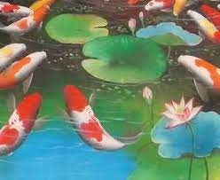 導讀 錦鯉共分為九大品系 約百餘品種 鯉科是所有魚種中最大的一科 超過1400種魚種 是風靡當今世界的一種高檔觀賞魚 有會游泳的藝術品的美稱 它對水質要求不高易繁殖 故受到人們的歡迎 以下文章一起來了解 pets fish fish pet