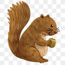 Free animated animals plus clipart and transparent gifs free to use for your website. Squirrel Eating Walnuts Illustration Squirrel Clipart Squirrel Eat Png Transparent Clipart Image And Psd File For Free Download In 2021 Squirrel Clipart Squirrel Illustration Squirrel