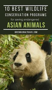 Pin On Animals Petmeds