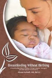 Sweet Pea's Breastfeeding Without Birthing Book