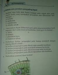 We did not find results for: Please Ya Di Jawab Buku Ipa Kelas 8 Halaman 149 152pilihan Ganda 1 10essay 1 5butuh Sekrang Nih Brainly Co Id